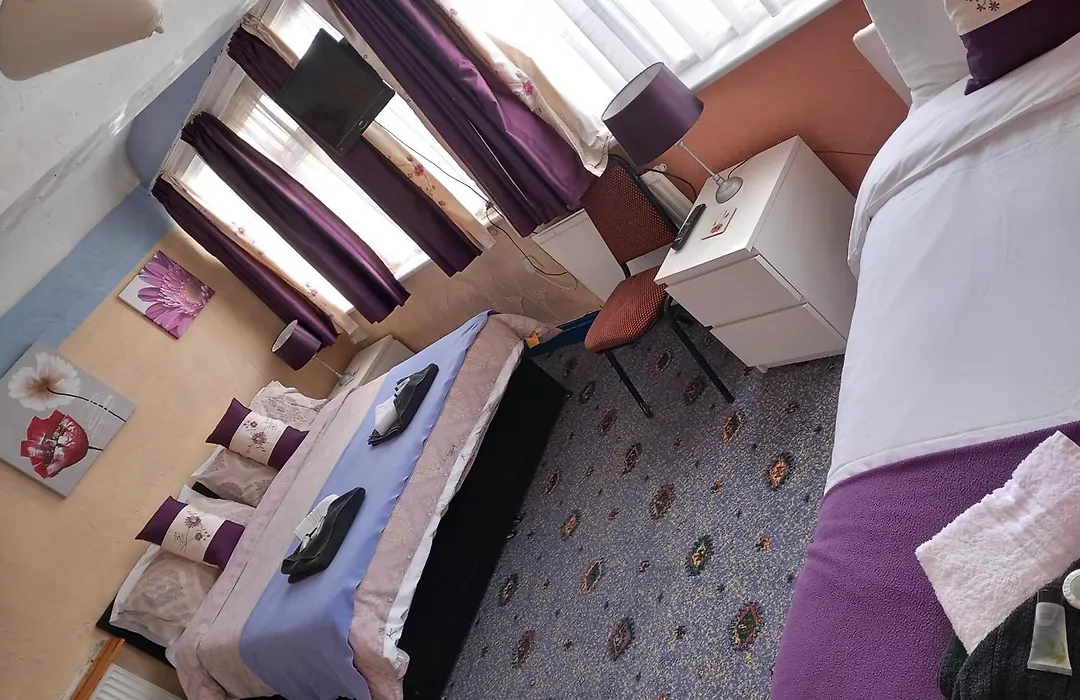 My Adam Hotel-1