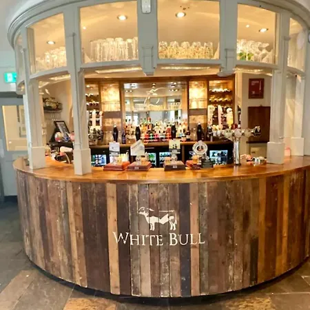 The White Bull-2