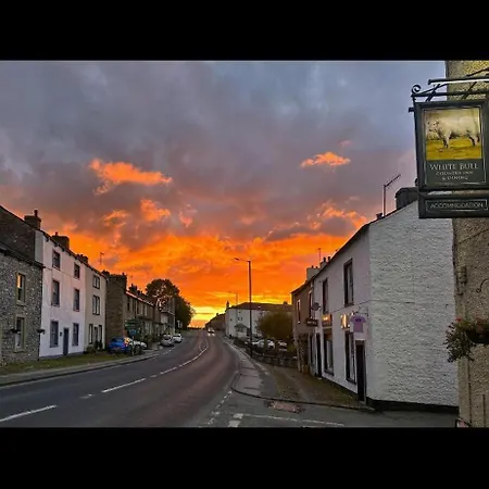 The White Bull-2