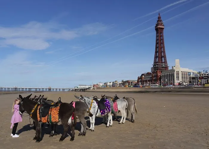 Seasons 24 Guest House Blackpool